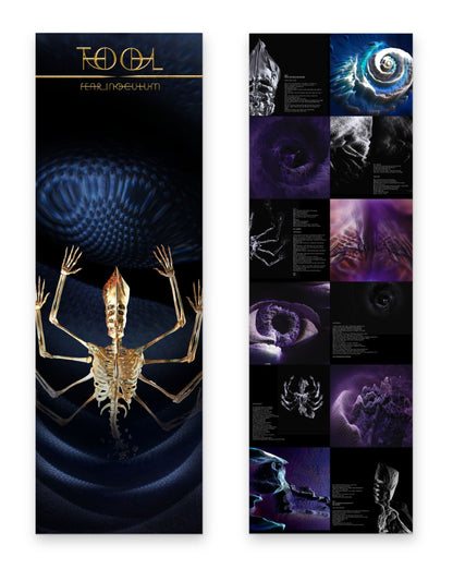 Tool - Fear Inoculum [Vinyl] - Paladin Vinyl