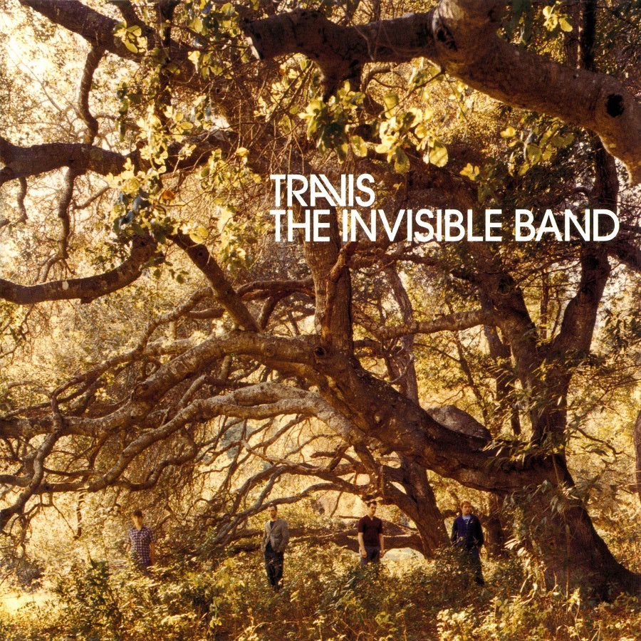 The Invisible Band (20th Anniversary) [LP] [Vinyl]