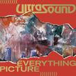 Everything Picture (Deluxe Edition) [Vinyl] - Paladin Vinyl