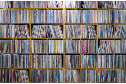 Vinyl Record Subscription Box - Rock/Classic Rock - Paladin Vinyl