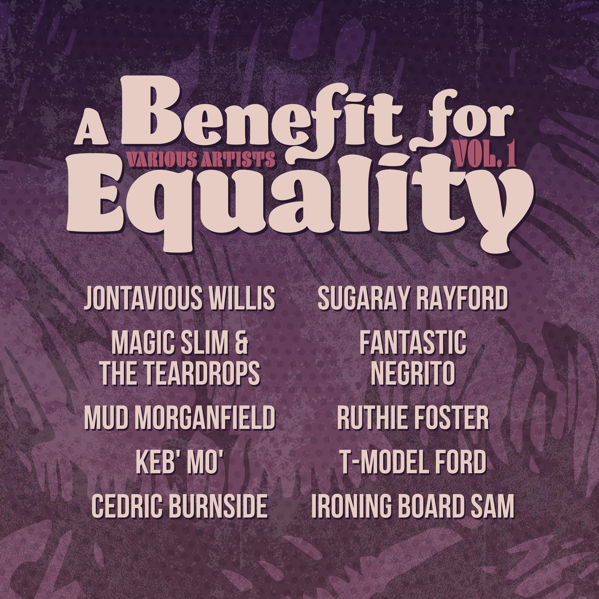 Various Artists - Benefit For Equality 1 (Limited Edition, Indie Exclusive) [Vinyl]