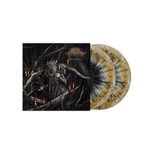 RITUAL HYMNS [Vinyl] - Paladin Vinyl