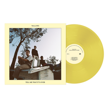 Wallows - Tell Me That It's Over [Vinyl] - Paladin Vinyl