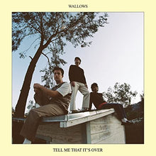 Wallows - Tell Me That It's Over [Vinyl] - Paladin Vinyl
