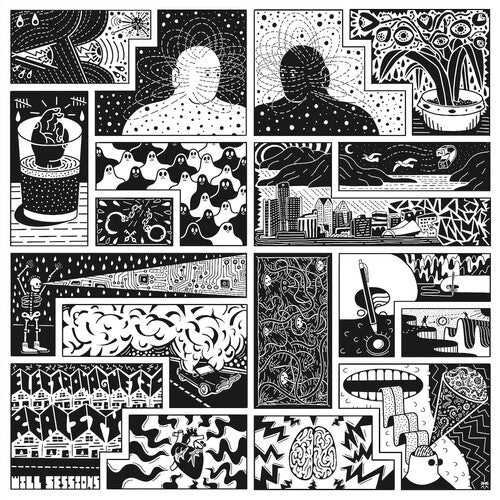 Electromagnetic Reality [Vinyl] - Paladin Vinyl