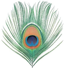 Apple Venus Vol. 1 (200 Gram Vinyl) [Import] [Vinyl] - Paladin Vinyl