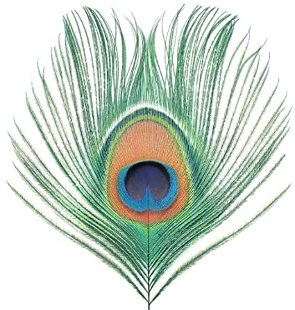 Apple Venus Vol. 1 (200 Gram Vinyl) [Import] [Vinyl] - Paladin Vinyl