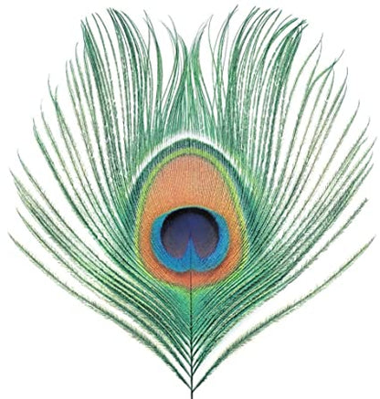 Apple Venus Vol. 1 (200 Gram Vinyl) [Import] [Vinyl] - Paladin Vinyl