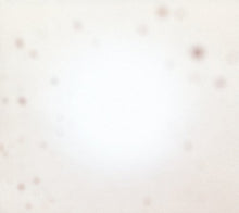 Yo La Tengo - Hay un disturbio en marcha [Vinilo]