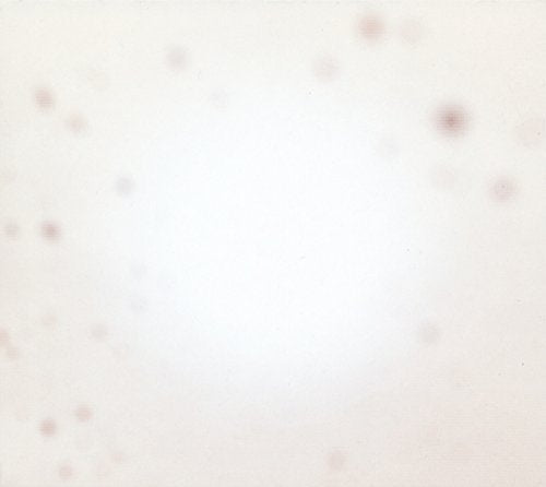 Yo La Tengo - Hay un disturbio en marcha [Vinilo]