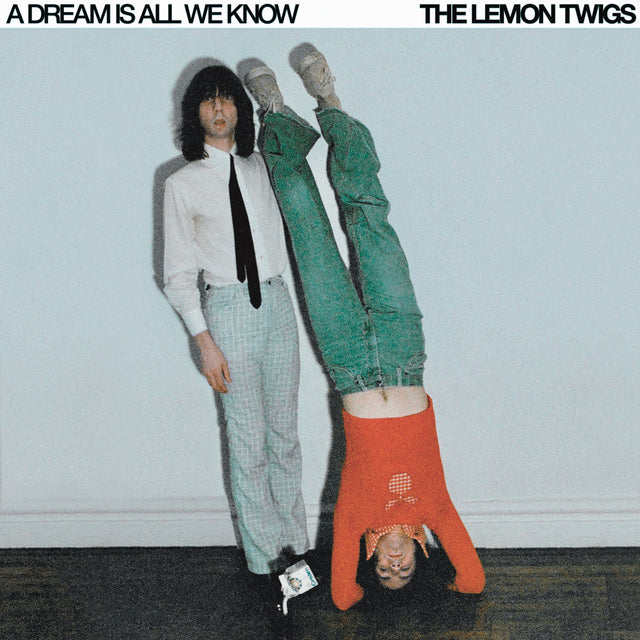 The Lemon Twigs - Un sueño es todo lo que conocemos (Helado) [Vinilo]