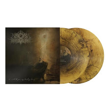 I Write To You, My Darling Decay [Vinyl]