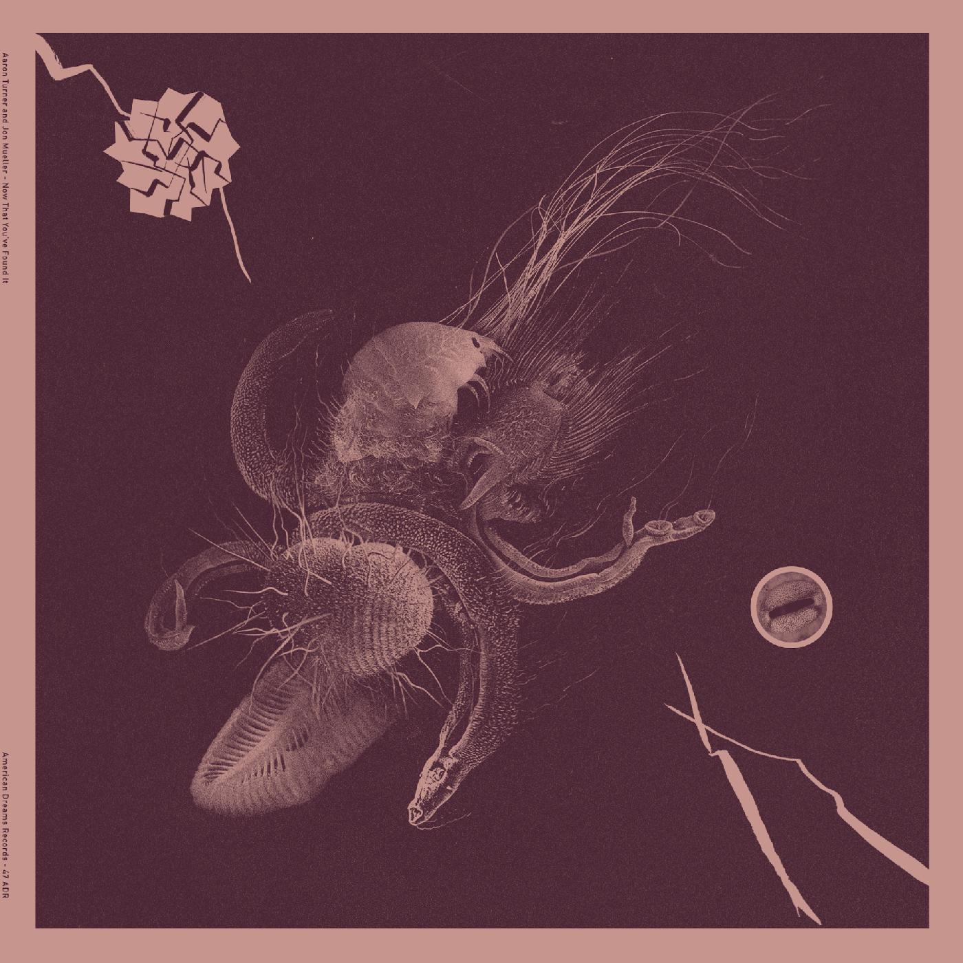 Now That You've Found It [Vinyl] - Paladin Vinyl