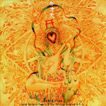 ACID MOTHERS TEMPLE & THE MELTING PARAISO U.F.O. - Benzaiten [Vinyl]