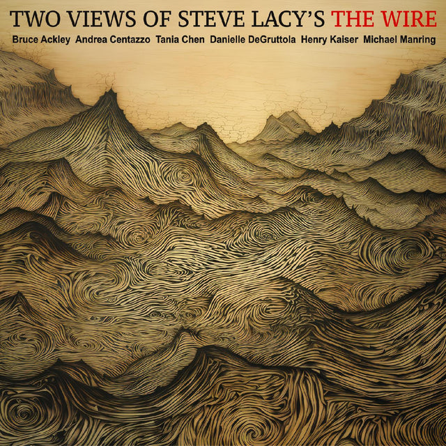 Ackley-Chen-Centazzo-DeGruttola-Kaiser-Manring - DOS VISIONES DE THE WIRE DE STEVE LACYS [CD]