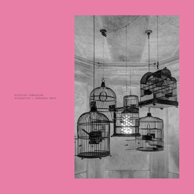 Acrobatizm / Prepared Wave (2LP Pink) [Vinyl]