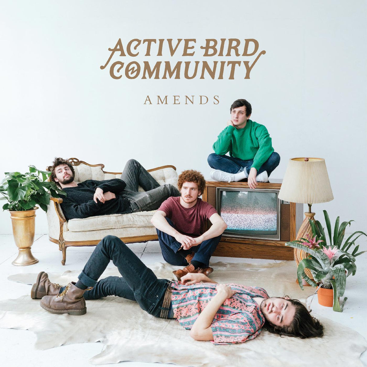 Comunidad de aves activa - Enmiendas [CD]