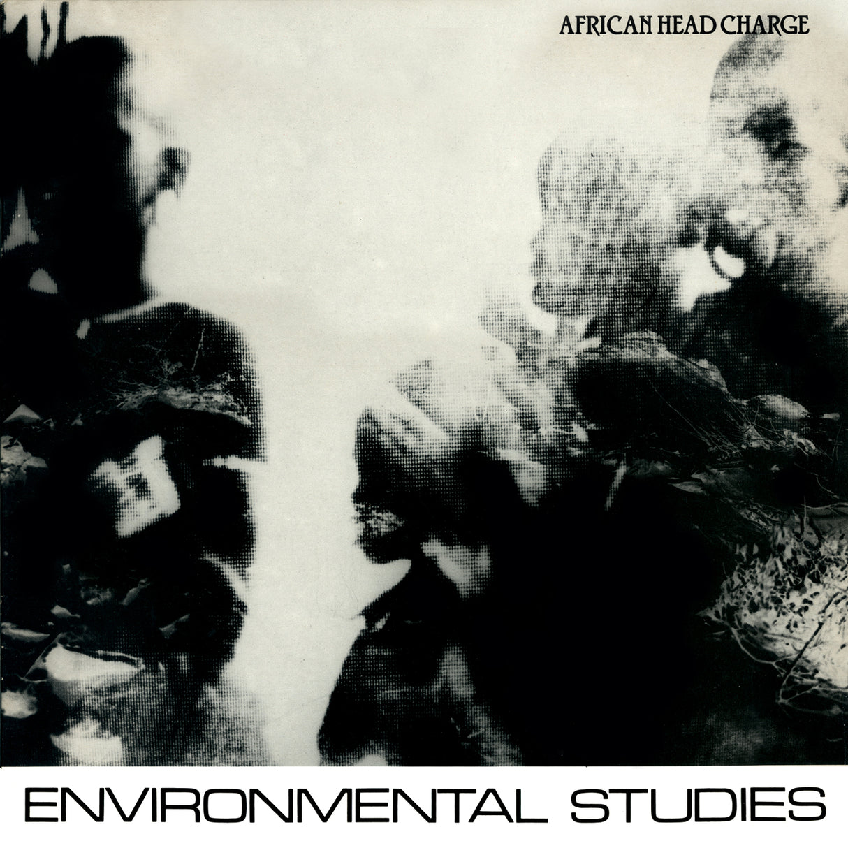 Environmental Studies [Vinyl]