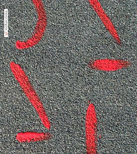 Words Are Missing [CD]
