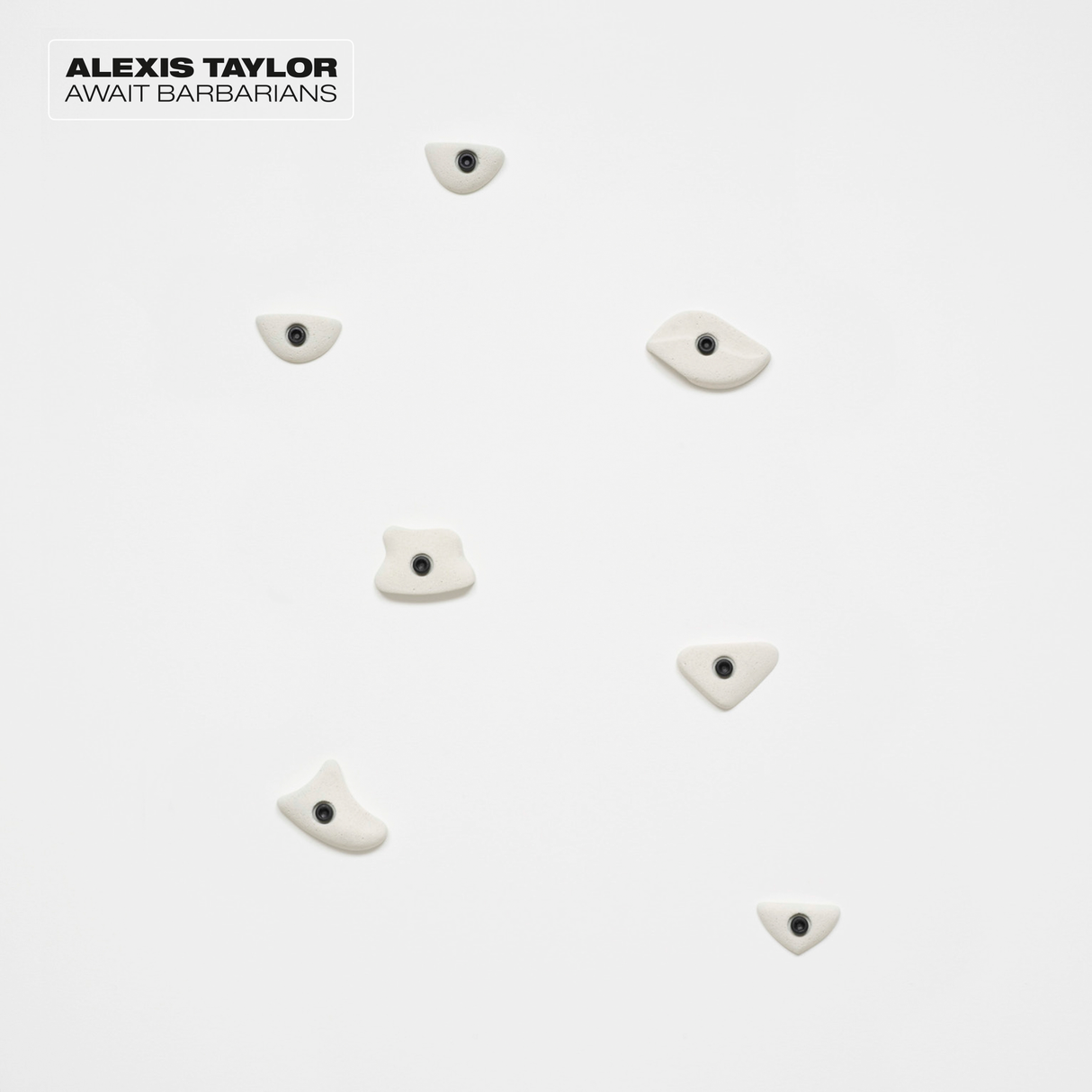 Alexis Taylor - Aguarden bárbaros [Vinilo]