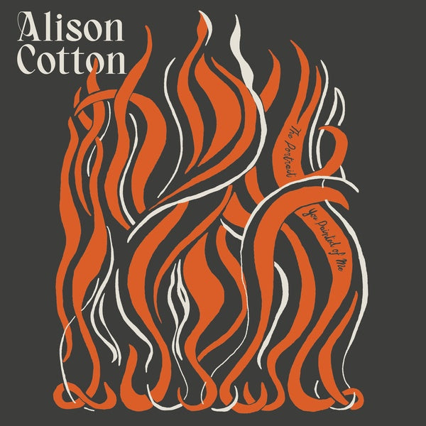 ALISON COTTON - The Portrait You Painted of Me [Vinyl]