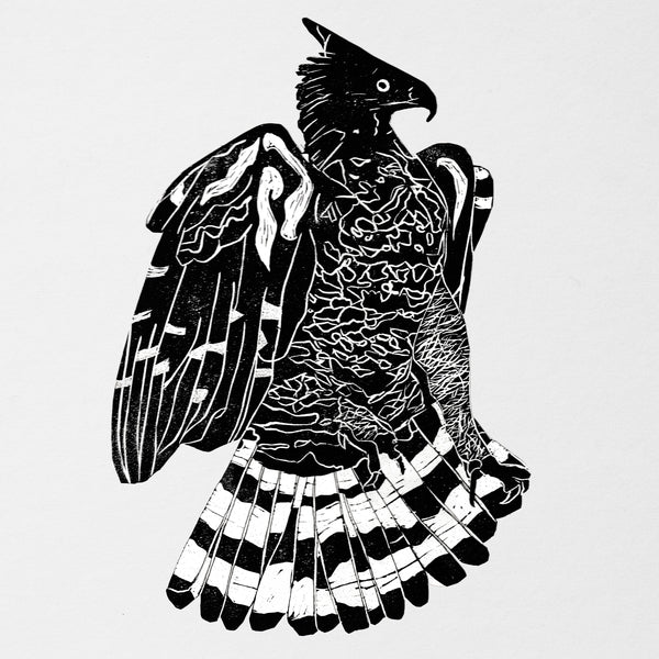 ALPHA STEPPA & NAI-JAH - Crowned Eagle [CD] [CD]