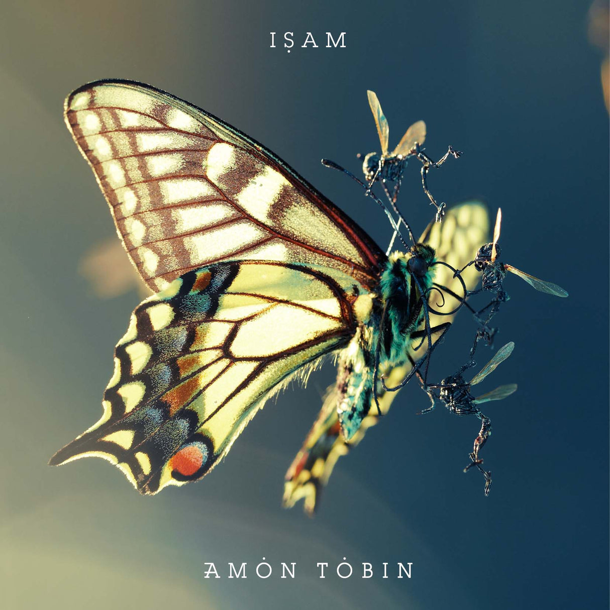 Amon Tobin - ISAM (Ltd Book & CD) [CD]