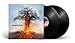 SKYFORGER [Vinyl]