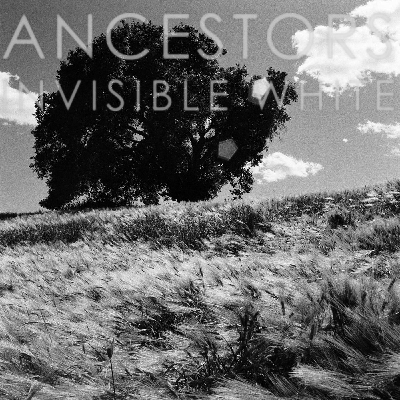 Ancestors - Invisible White (OPAQUE GRAY VINYL) [Vinyl] - Paladin Vinyl