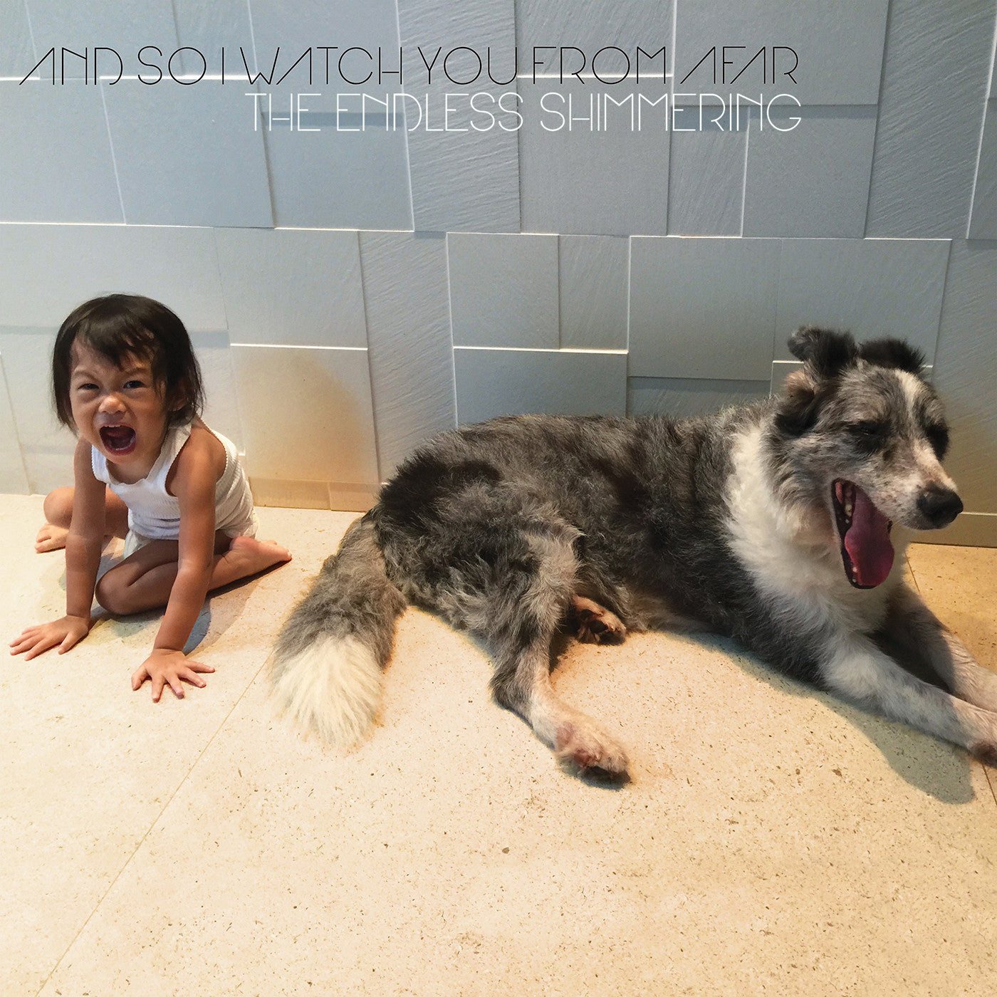 The Endless Shimmering [CD]