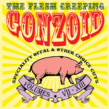 ANDREW LILES - The Flesh Creeping Gonzoid: Speciality Offal & Other Choice Cuts [CD]