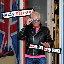 Andy Ellison - Wall to Wall Jive (Antología 1965-2020) [CD]