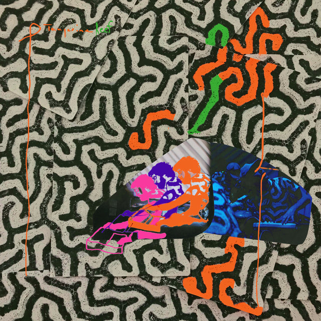 Animal Collective - Tangerine Reef [Vinilo]