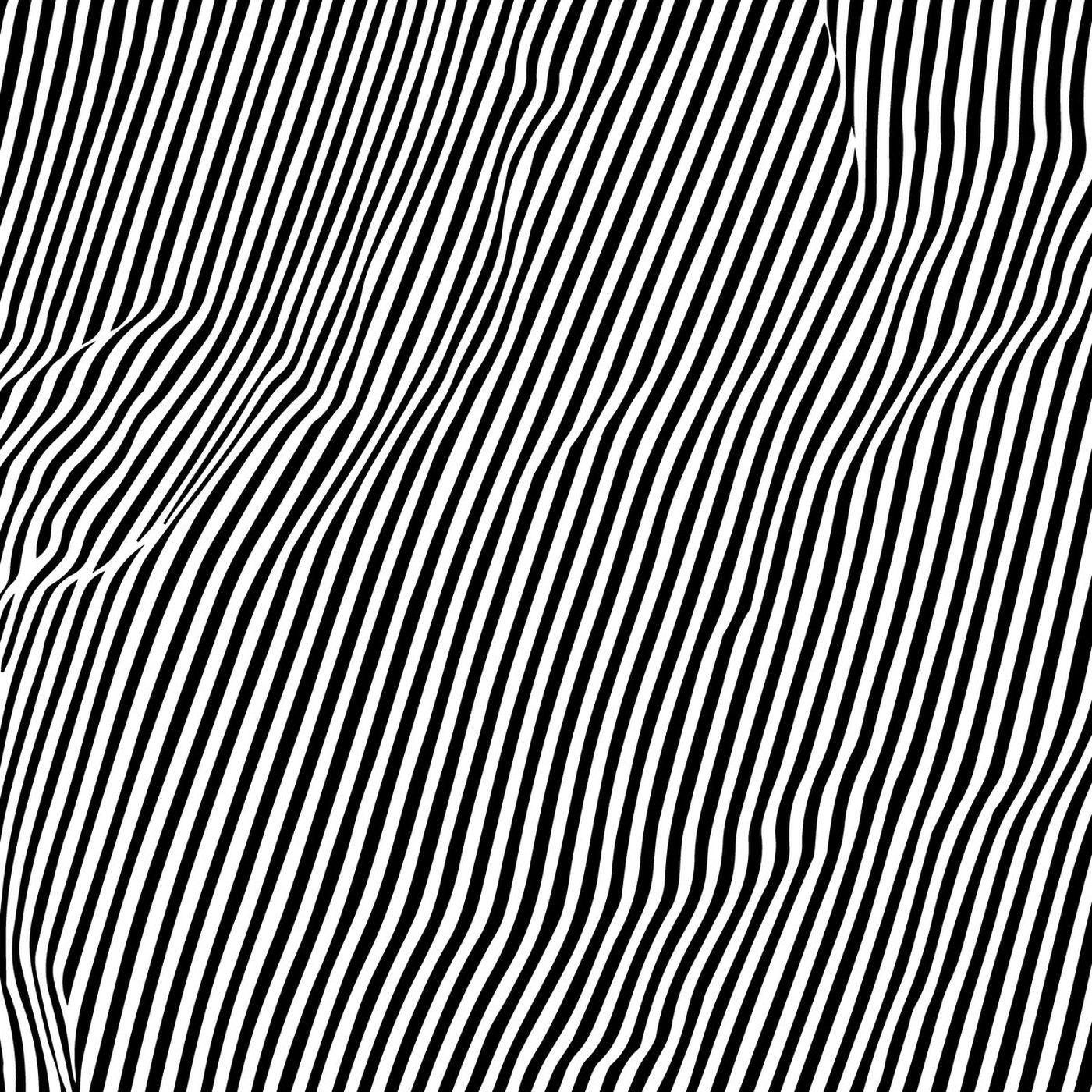 Animal Hospital - Fatique [Vinyl] - Paladin Vinyl