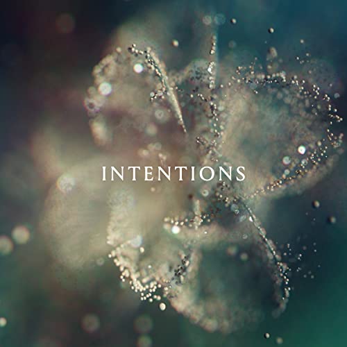 ANNA - Intenciones [2 LP] [Vinilo]