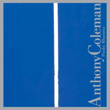 Anthony Coleman - Pushy Blueness [CD]