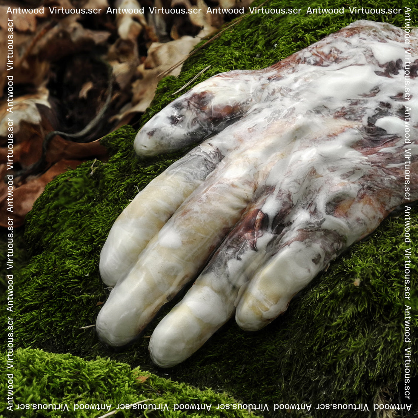 Virtuous.scr [Vinyl] - Paladin Vinyl
