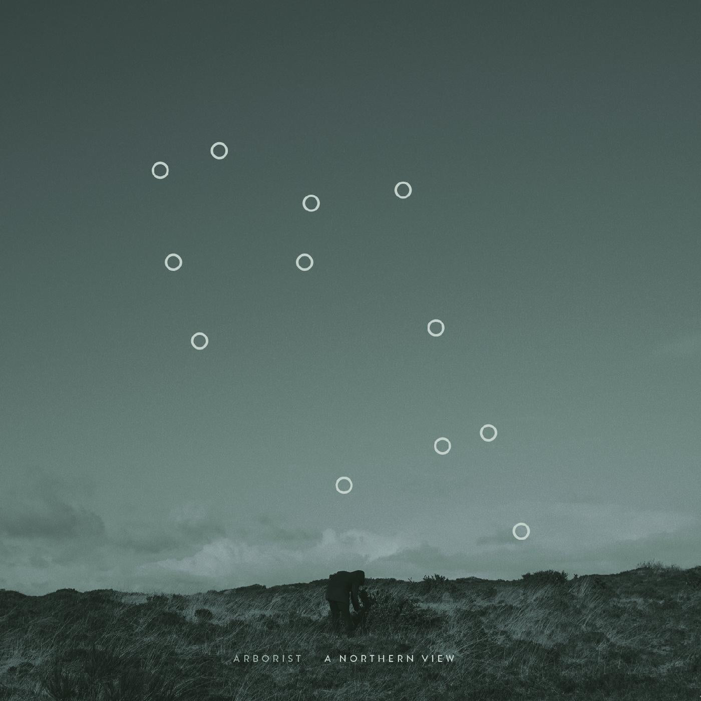 Arborist - A Northern View [Vinyl] - Paladin Vinyl