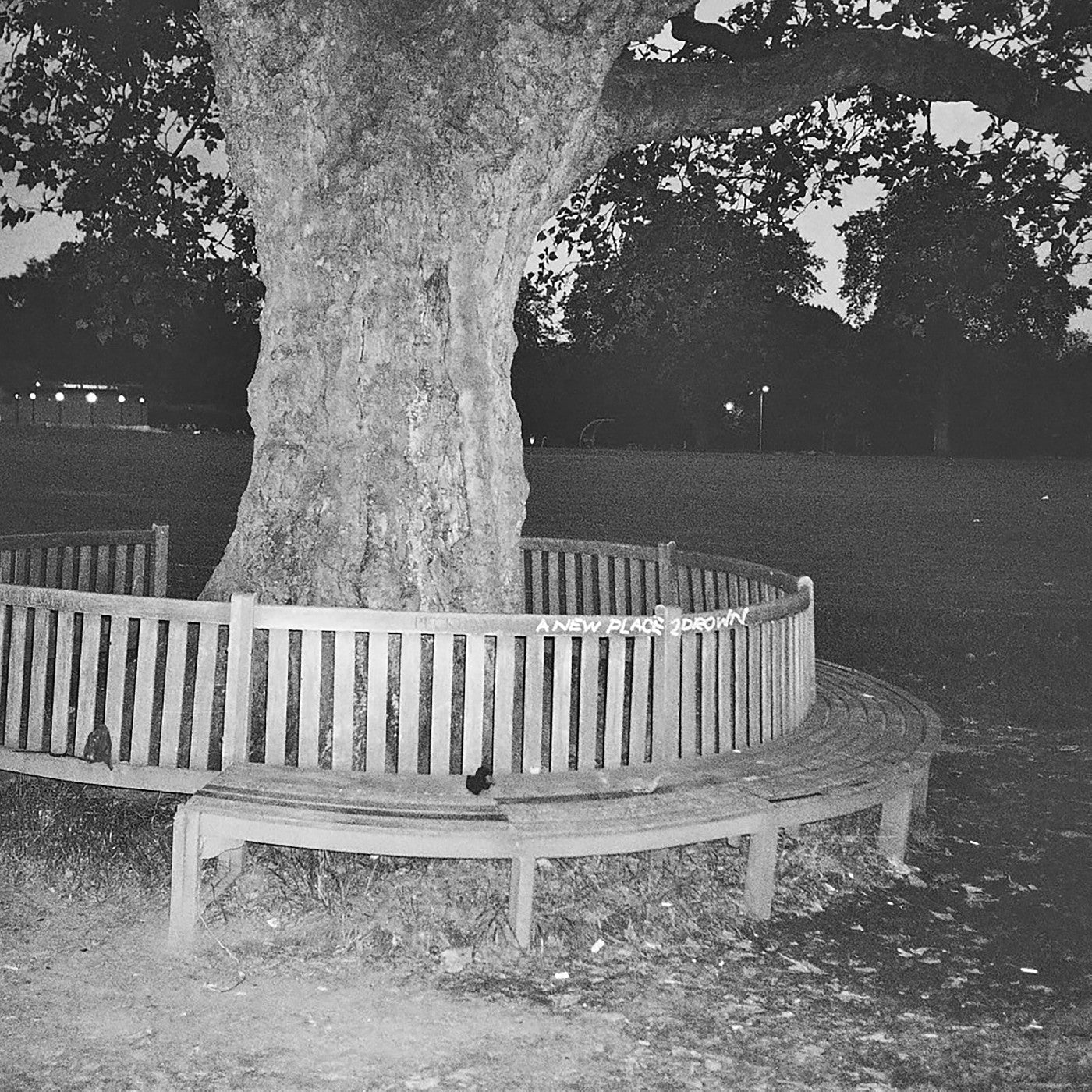 A New Place 2 Drown (Instrumentals) [Vinyl]