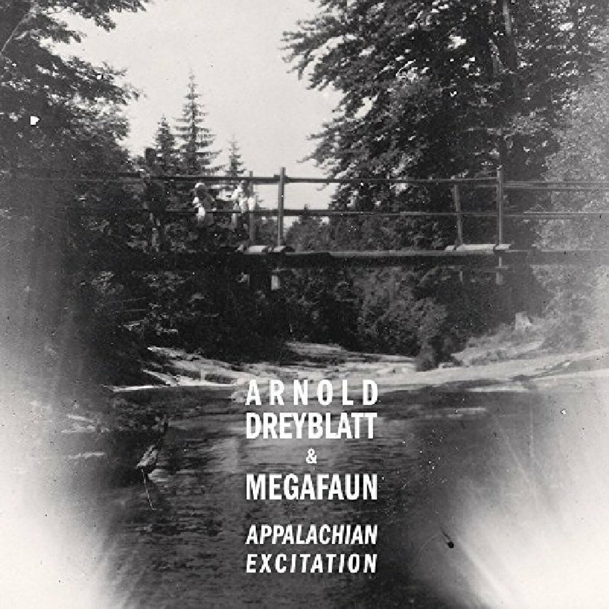 Arnold & Megafaun Dreyblatt - Appalachian Excitation [CD]