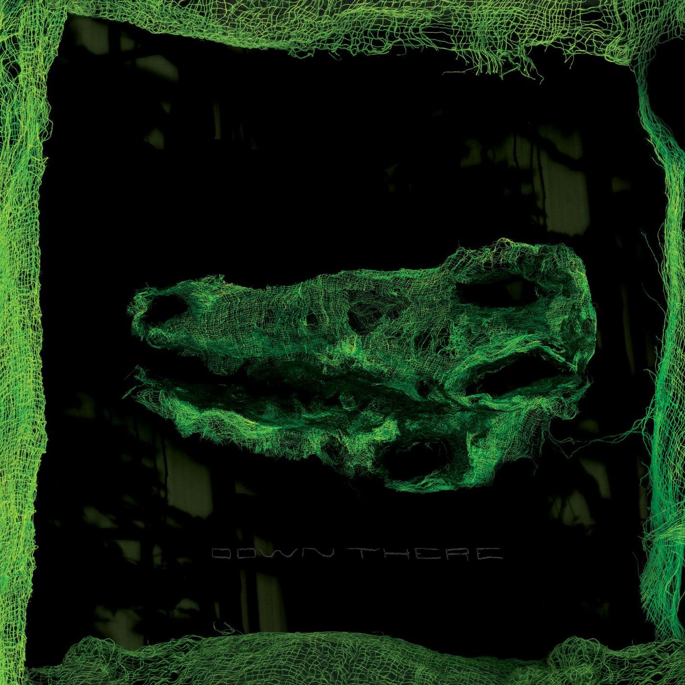 Down There [Vinyl] - Paladin Vinyl