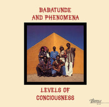 Levels Of Consciousness [Vinyl]