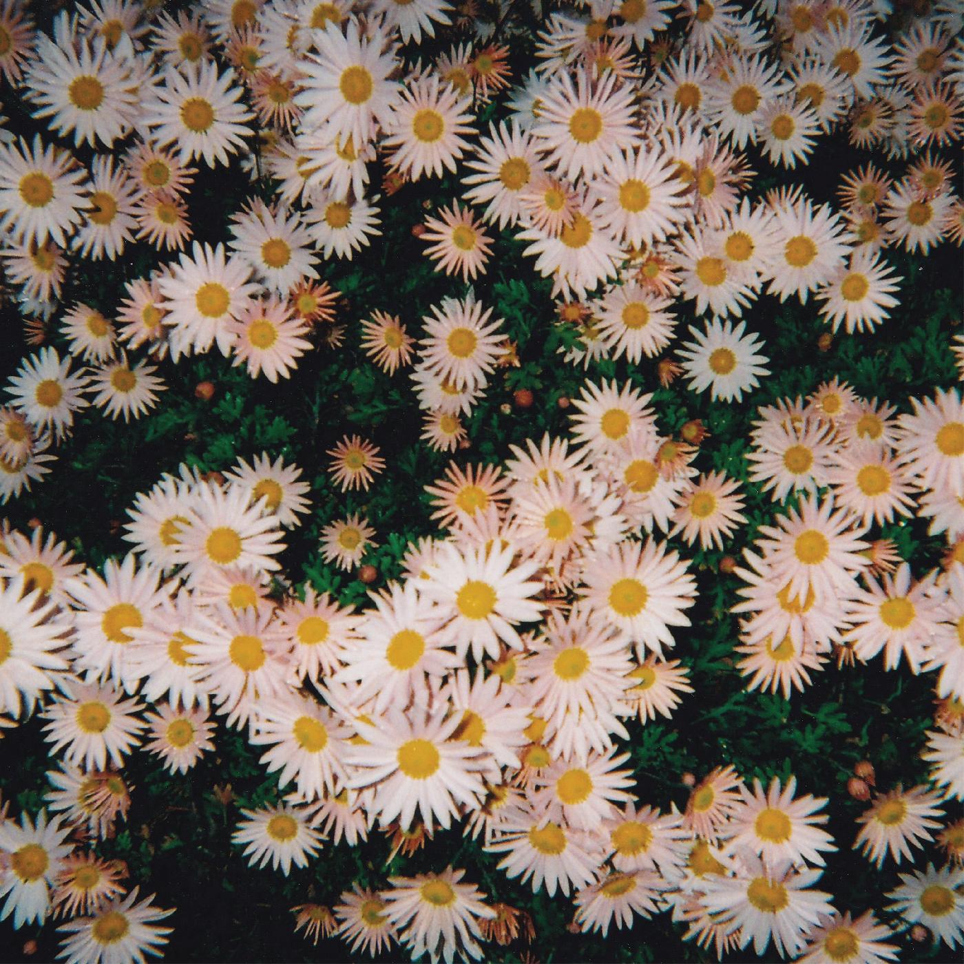 Malos, Malos Sombreros - Malos, Malos Sombreros [CD]