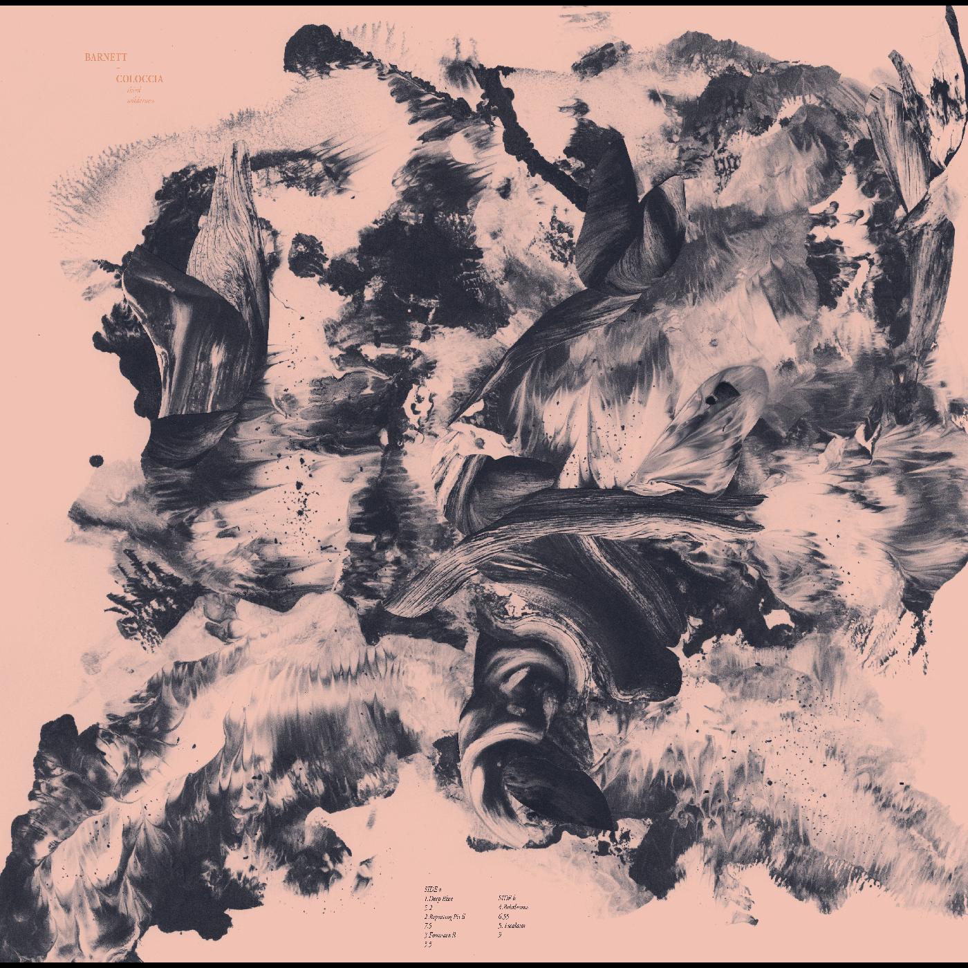Third Wilderness (TAN & BLUE/GREY VINYL) [Vinyl] - Paladin Vinyl