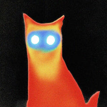 Basement - Wired [CD]