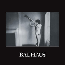 Bauhaus - In the Flat Field [CD]