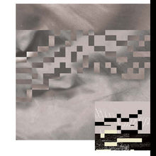 Moments in Shapeshifting [Vinyl]