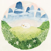 Songs For Sleeping Dogs [CD]