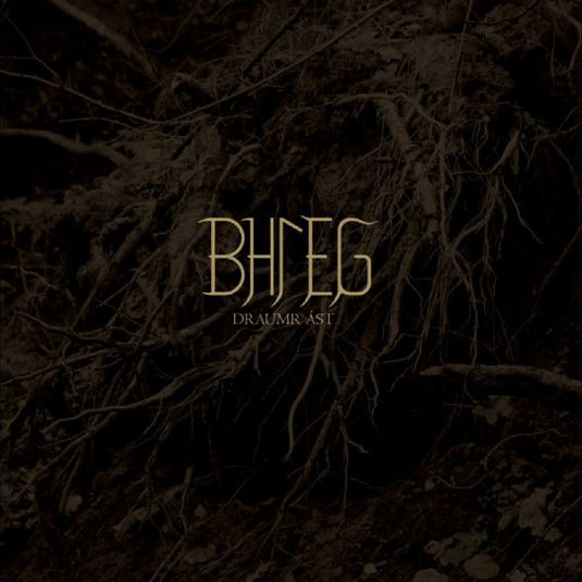 Bhleg - Draumr ¡st - Paladin Vinyl