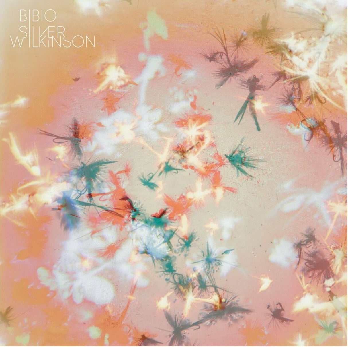 Bibio - Silver Wilkinson [CD]